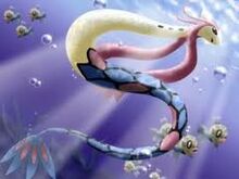 Jo's Milotic