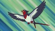 Landon's Swellow
