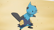 Landon's Dewott