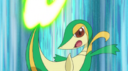Snivy Leaf Blade