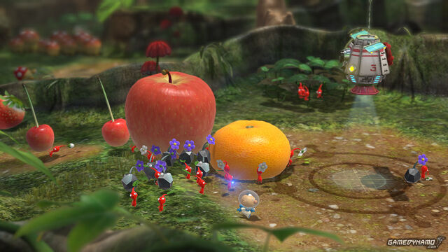 File:Most of the fruit.jpg