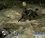 Burrowing snarrow