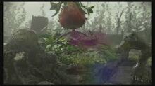 Images (7)