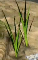 Spiked Grass