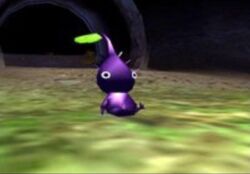 Pikmin2PikminViola.jpg