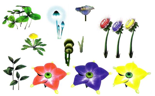 File:Pikmin 1 Plants.jpg