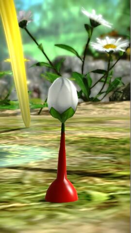 File:Bud.jpg