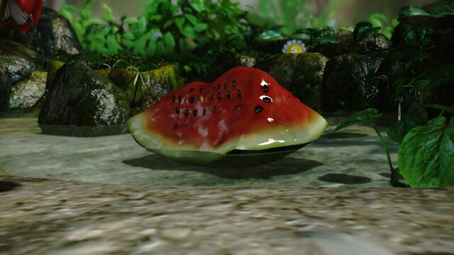 File:00fruitwatermelon.jpg