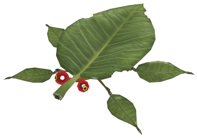 File:Skitter leaf.png
