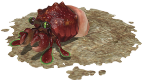 Einsiedlerkropf