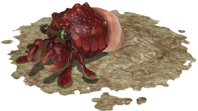 Datei:Einsiedlerkropf.png
