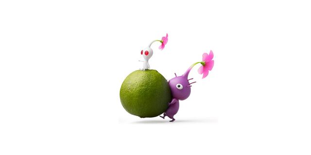 File:Zestbombpikmin3.jpg