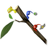 Twig