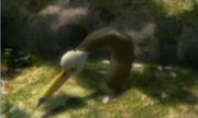 Snarrow