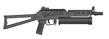 Bizon