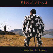 Delicate Sound Of Thunder