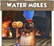 Water Moles