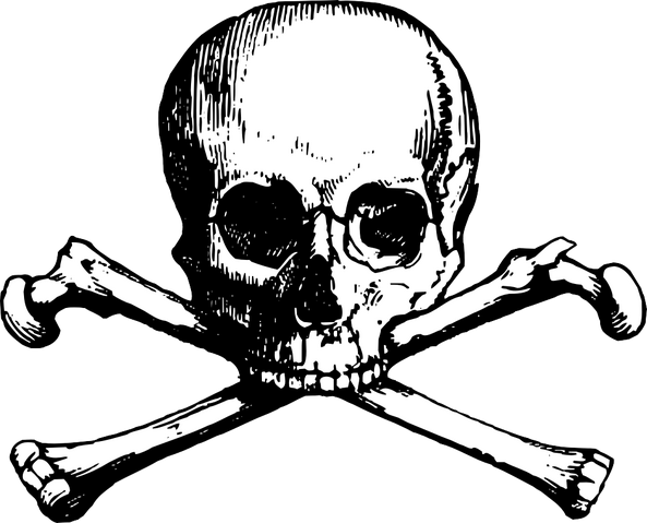 File:Xskull.png
