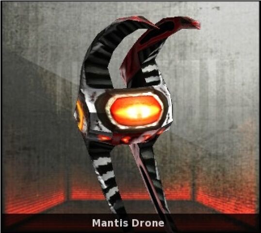 File:Drone.jpg