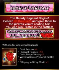 Beauty Pageant 2
