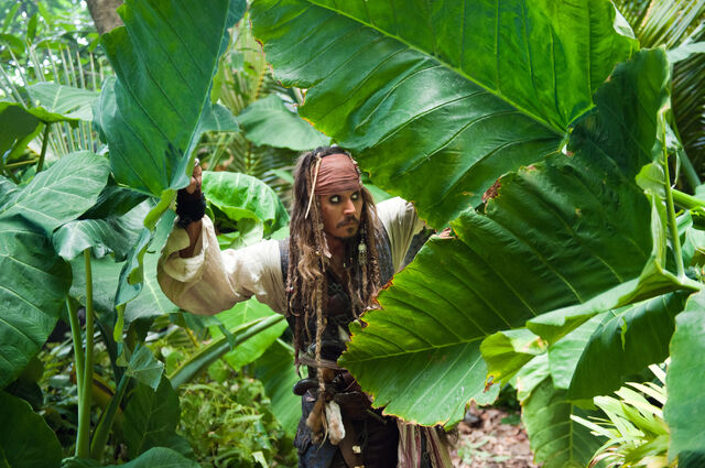 File:PromoJack Jungle.jpg