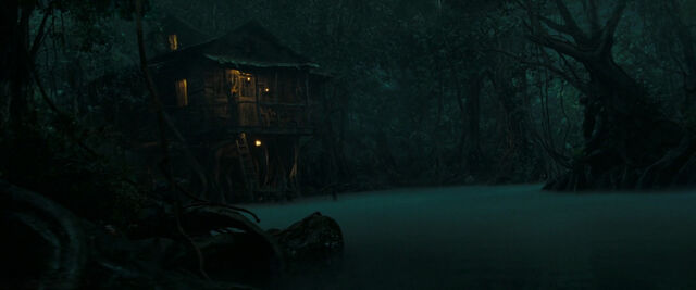 File:DMCShackinBayou.jpg