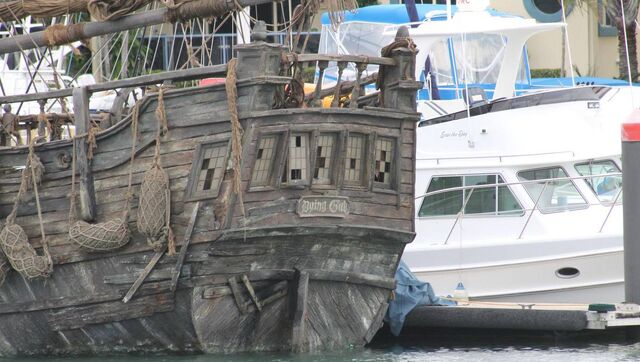 File:Dyinggullstern.jpg