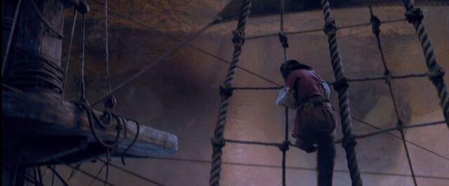 File:Monkeyclimbinginbottle.jpg