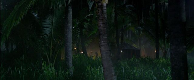 File:PalmTreeGroveSpanishCampView.jpg