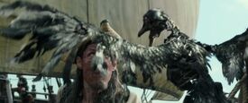 Dead Men Tell No Tales 04