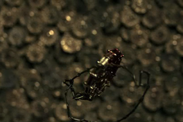File:IMG 0317.png