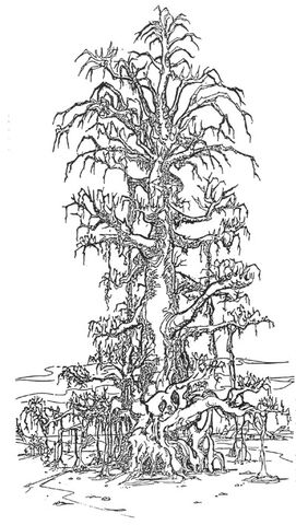 File:Andorus.jpg