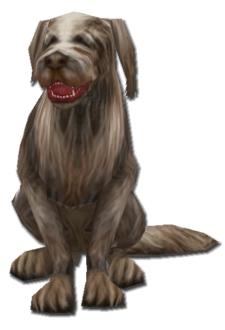 File:Outcast dog.png