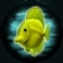 File:Yellow Tang.JPG