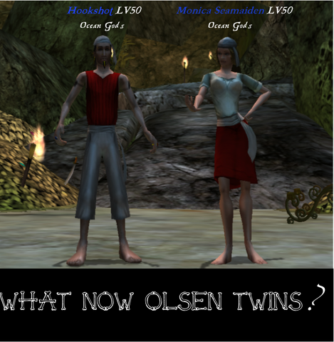 File:TwinPirates.png