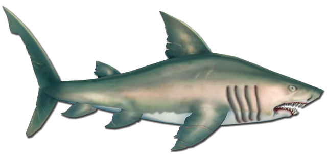 File:Fish 18.png