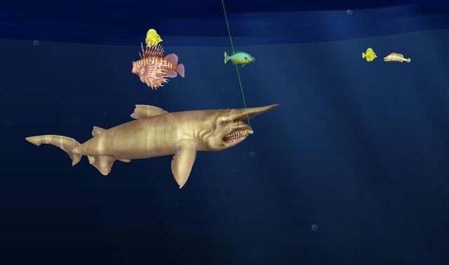 File:N test fishing.jpg