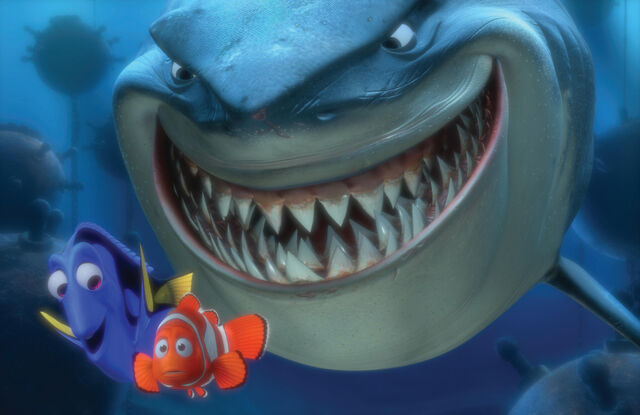 File:Findet nemo hai.jpg