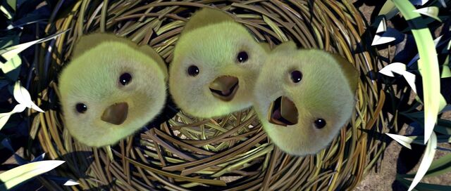 File:Bl 059Chicks.jpg