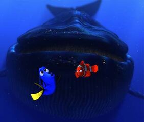 finding nemo whale toy