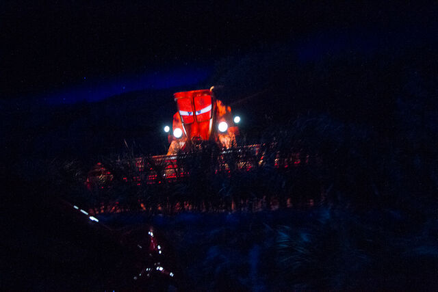 File:Carsland Jacob-149.jpg