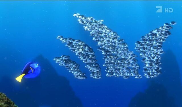 File:Moonfish Sydney opera House.jpg
