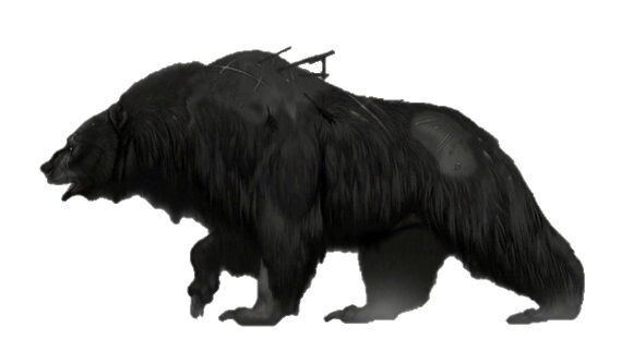 File:Bear dead eye.jpg