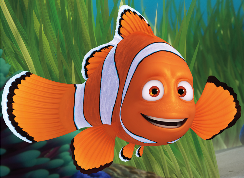 Category:Finding Nemo Characters | Pixar Wiki | FANDOM Powered By Wikia