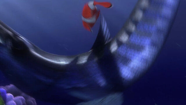 File:Finding-nemo-disneyscreencaps com-286.jpg