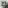 Thumbnail for version as of 02:47, April 17, 2014