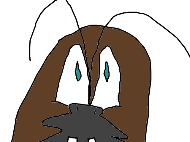 File:NoImage.png