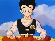 Son Gohan 11.png
