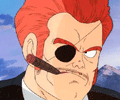 CommanderRed.gif