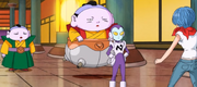Swz.png